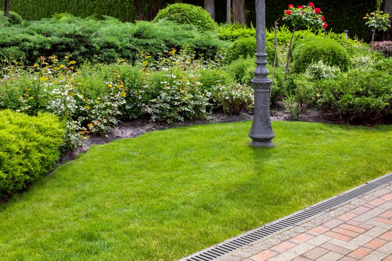 Landscape Drainage Solution